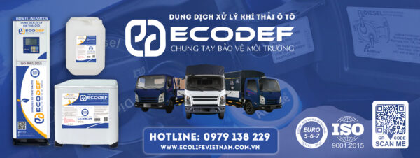 ECO LIFE VIỆT NAM