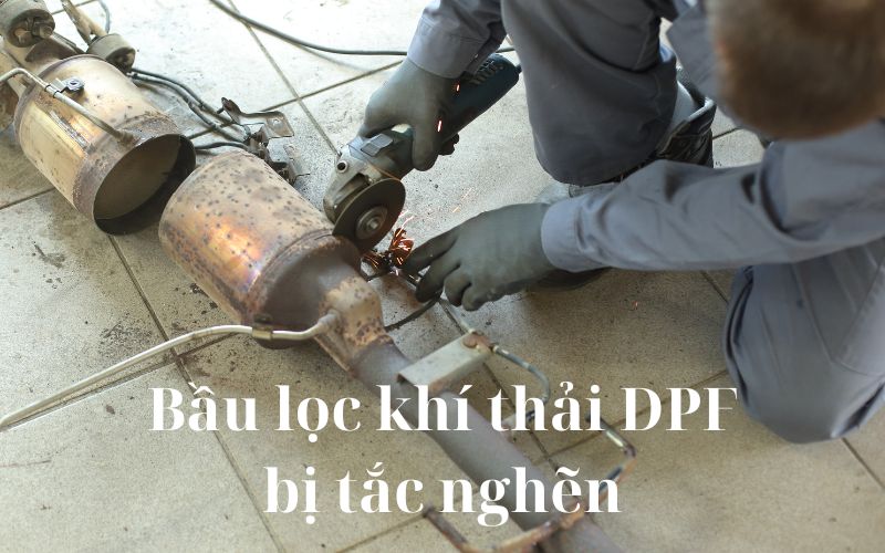 dpf-bi-tac