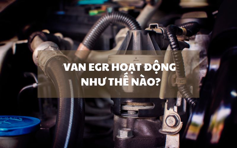 van-egr-hoat-dong-nhu-the-nao