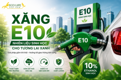 Minh họa xăng sinh học E10 – nhiên liệu sạch giúp giảm khí thải và hướng tới giao thông xanh tại Việt Nam.